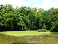 Alcsutdobozi arboretum - to